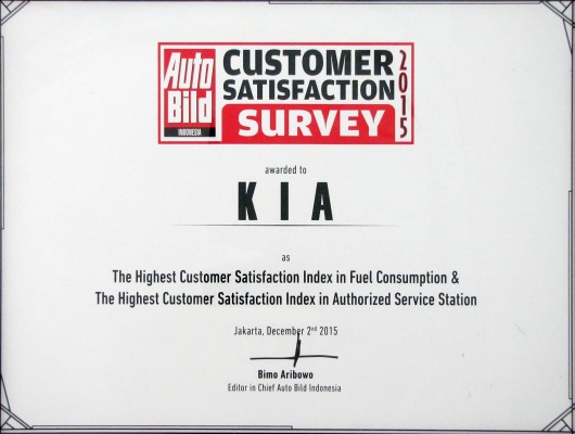 Customer Statisfaction Award 2015 - Auto Bild